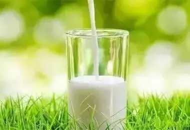 牛奶喝太多小心性冷淡|牛奶|饮食