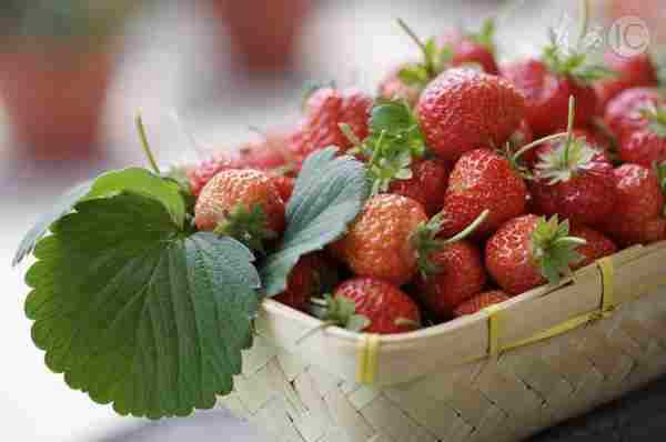这样洗草莓最干净|草莓|淡盐水|淘米水
