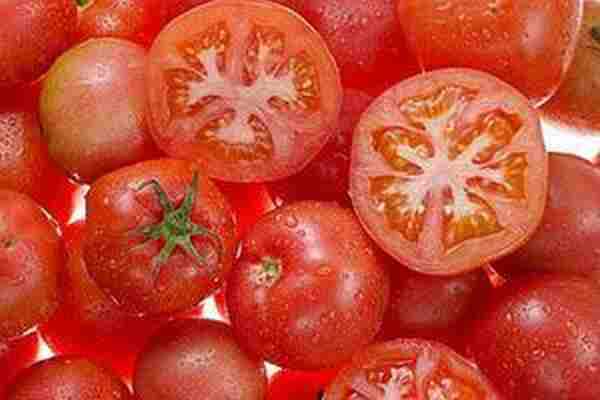 番茄搭配4种菜很营养|番茄