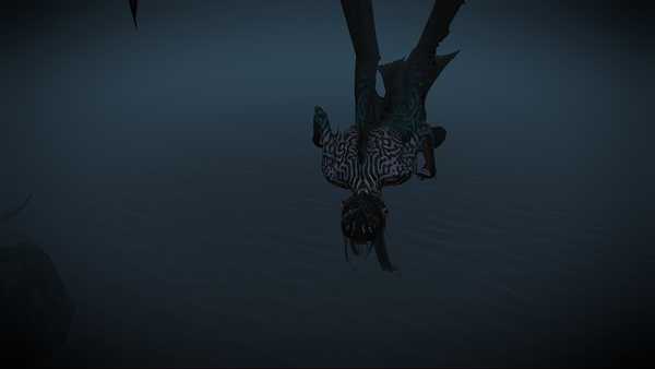 《巫师3：狂猎》海克娜长什么样 海克娜真容一览（密恐慎入）