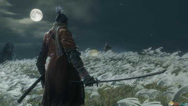 《只狼：影逝二度》剑圣苇名一心BOSS位置分享