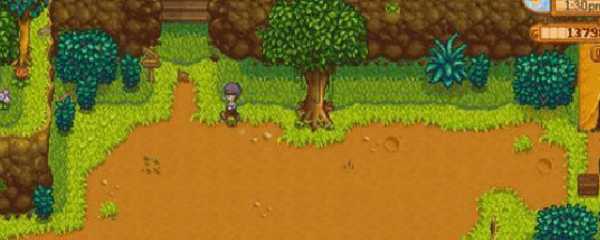 星露谷物语沙漠矿洞没有电梯吗