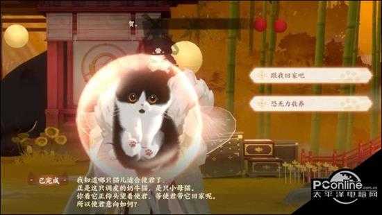 忘川风华录猫猫怎么养成