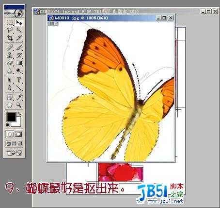 Photoshop教程 ：把MM照片制作为花瓣签名