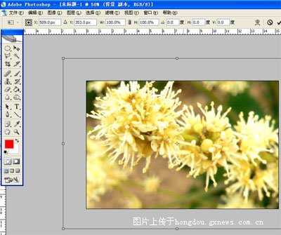 Photoshop教程:简单制作花卉日历