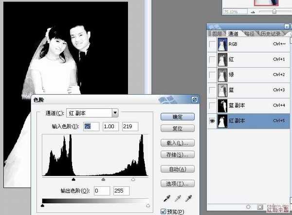 Photoshop简单背景的婚纱照抠图教程