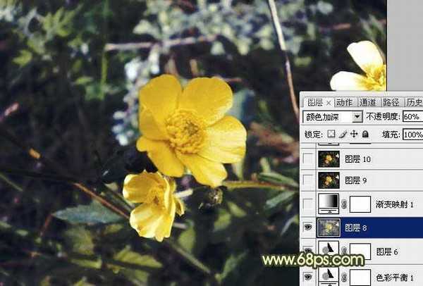 Photoshop将花朵图片调成强对比的暗黄色
