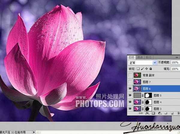 Photoshop将荷花特写图片打造出高清的暗紫色效果