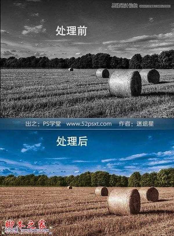 Photoshop将黑白田园照片调出自然色彩效果
