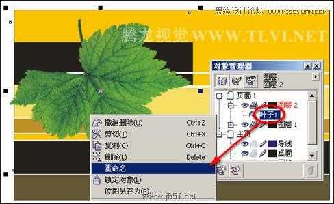 CorelDRAW(CDR)设计制作环保宣传海报实例教程