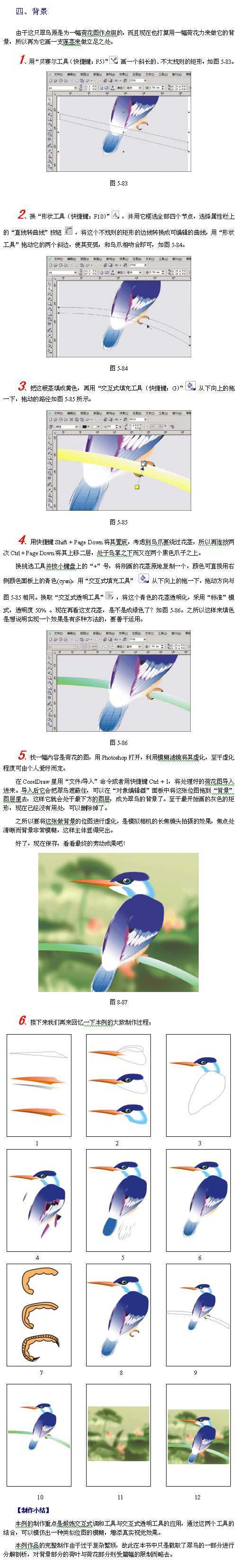 CorelDraw(CDR)模仿绘制出逼真的翠鸟实例教程