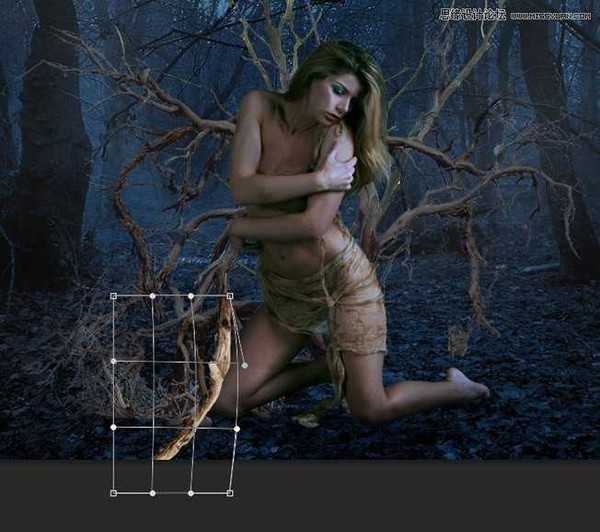 Photoshop合成森林中被树妖围困的仙子