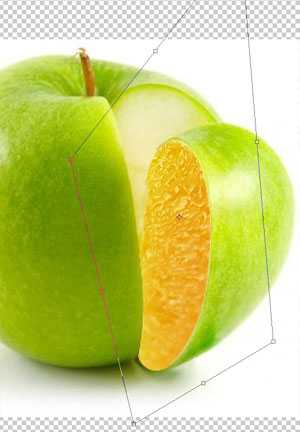 PS合成有创意的橙子和苹果结合图片
