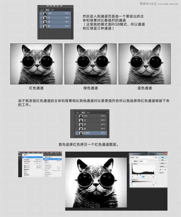 Photoshop使用通道给黑色猫咪抠图