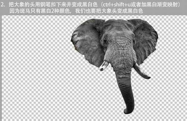 PS将斑马头像换成创意的长鼻子大象头像