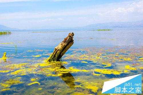 单反摄影构图技巧:11种摄影构图详解