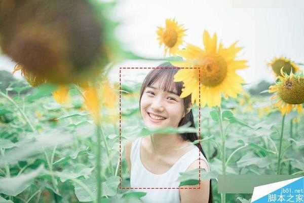 Photoshop把在向日葵中的女孩调出唯美日系暖色调效果