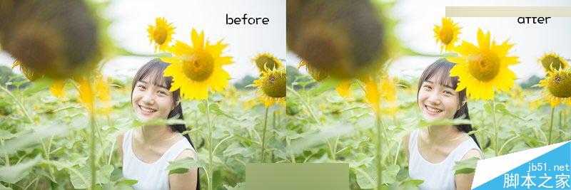 Photoshop把在向日葵中的女孩调出唯美日系暖色调效果
