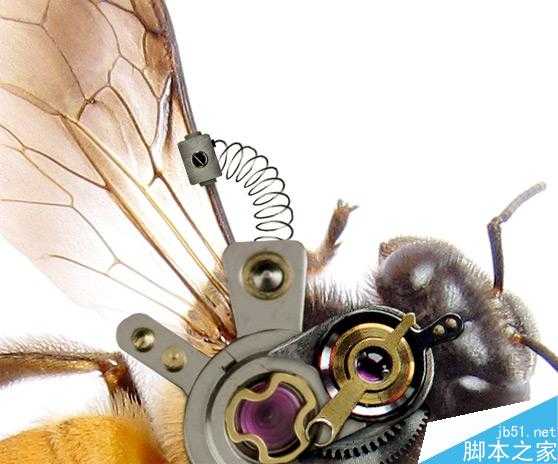 Photoshop合成非常逼真创意的机械小蜜蜂教程