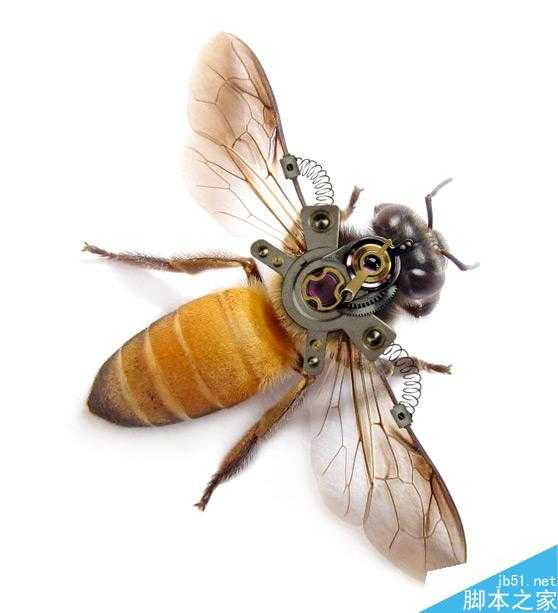 Photoshop合成非常逼真创意的机械小蜜蜂教程