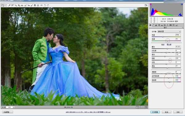 Photoshop调出外景婚片春季清新童话风效果图