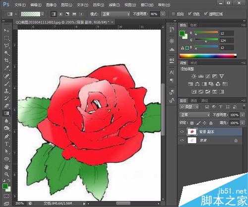 用Photoshop给简笔画玫瑰花涂上颜色步骤