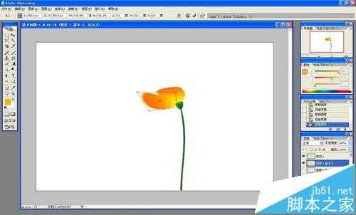 ps怎么做花开的动画?ps画花朵展开gif动图的教程