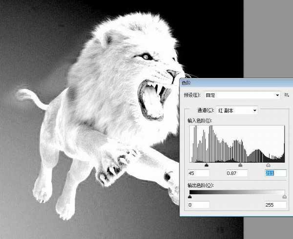 Photoshop巧用通道抠图完美抠出毛茸茸的狮子教程