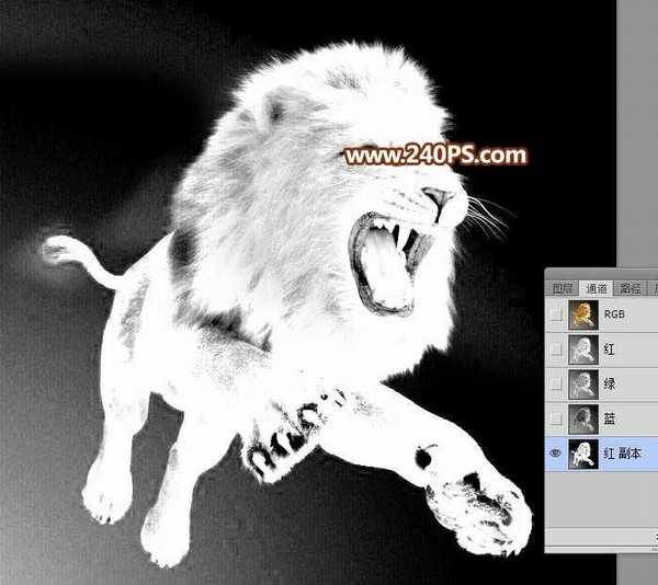 Photoshop巧用通道抠图完美抠出毛茸茸的狮子教程
