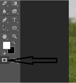 photoshop cs6使用快速蒙版抠图抠出草地上的狗狗