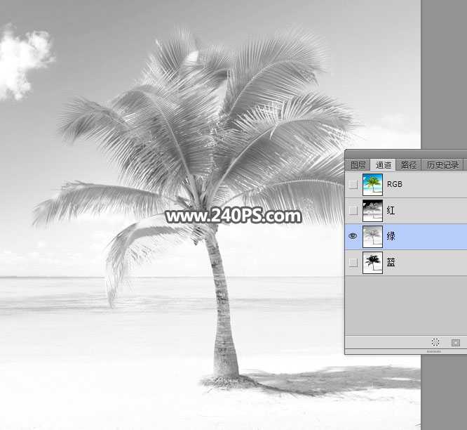 photoshop如何用通道快速抠出海边枝叶繁茂的椰子树