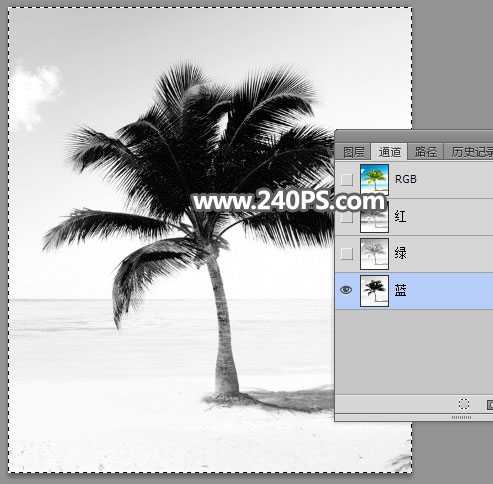 photoshop如何用通道快速抠出海边枝叶繁茂的椰子树