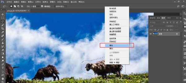 ps cc2017怎么使用内容识别填充功能抠图?