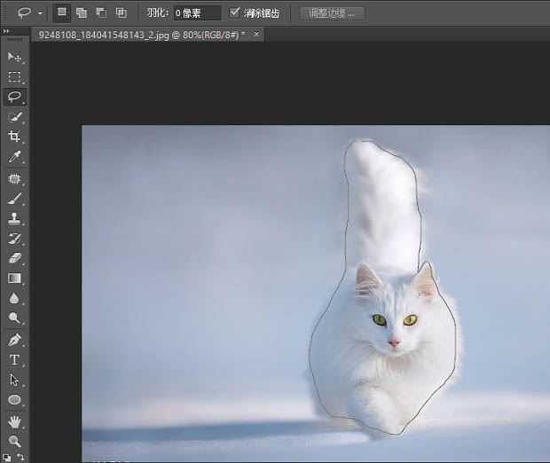 ps精细抠图利用调整边缘快速抠出白色可爱猫咪图片教程