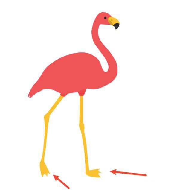 ai怎么绘制一个长腿的火烈鸟矢量图?